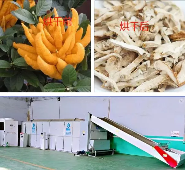 中药材烘干机